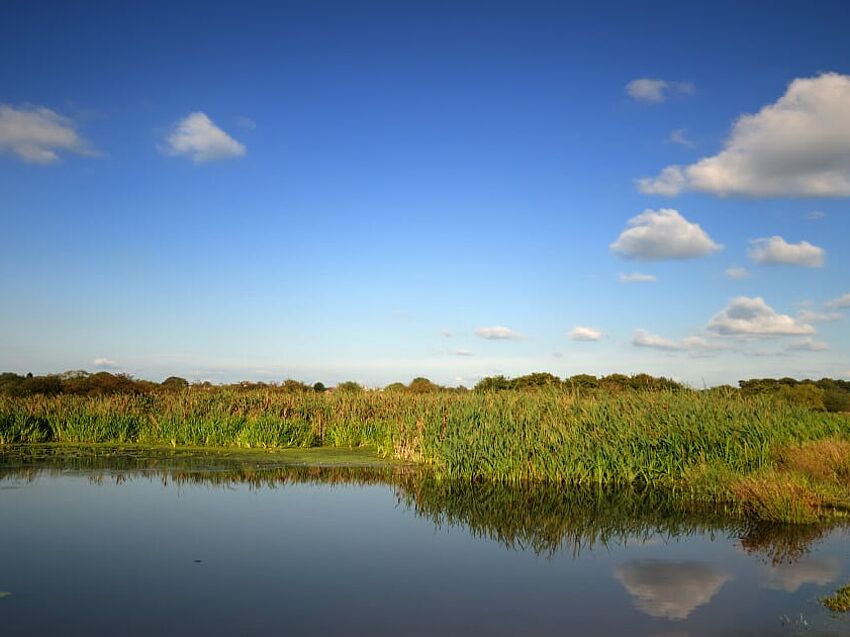 The Importance of Preserving Green Infrastructure in Conjunction with Developing Gray Infrastructure