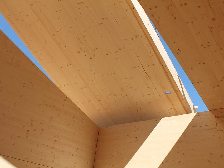 BIM in timber construction